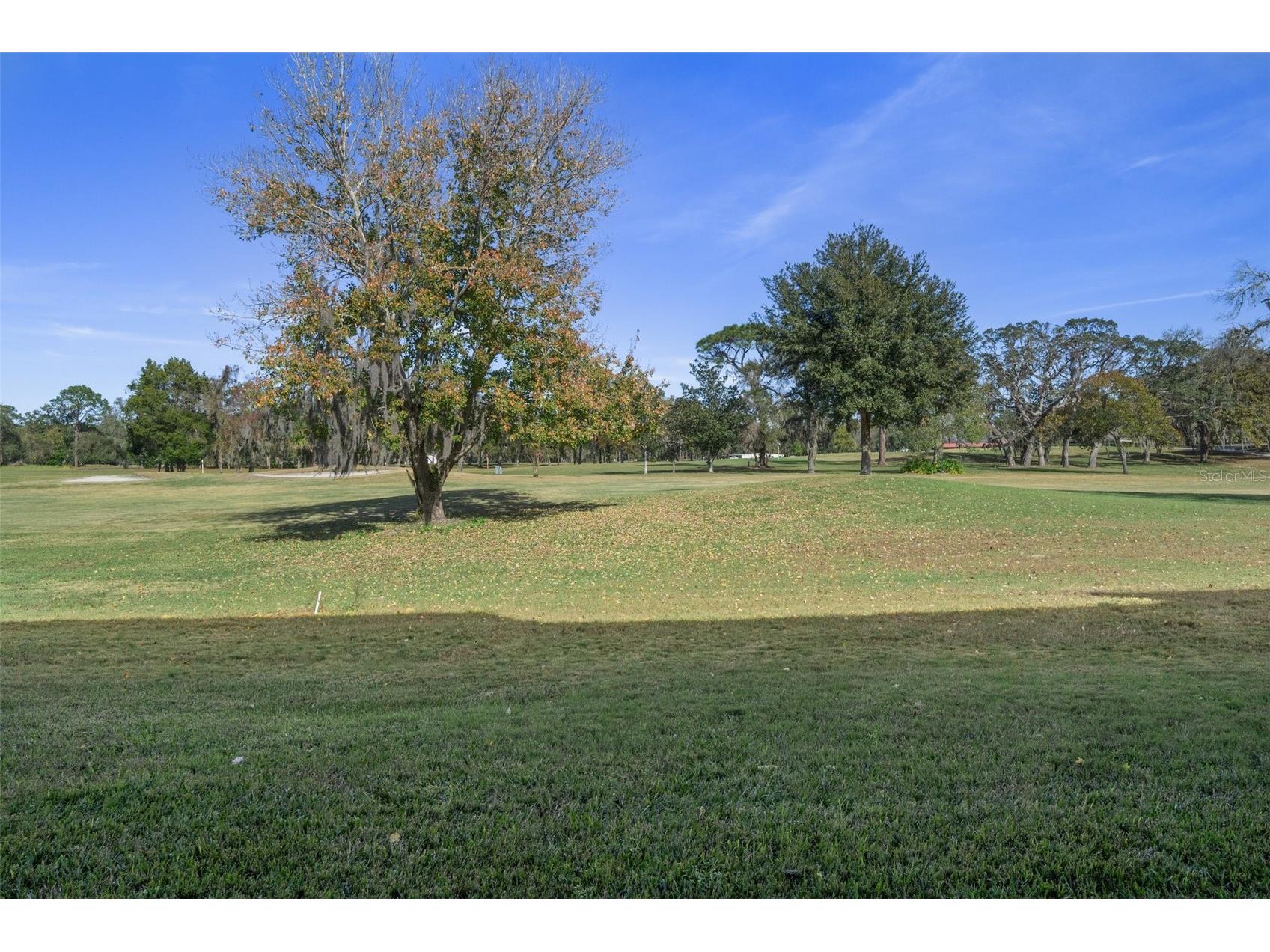 3 Cypress Run #33A Homosassa FL 34446 OM707852 image13