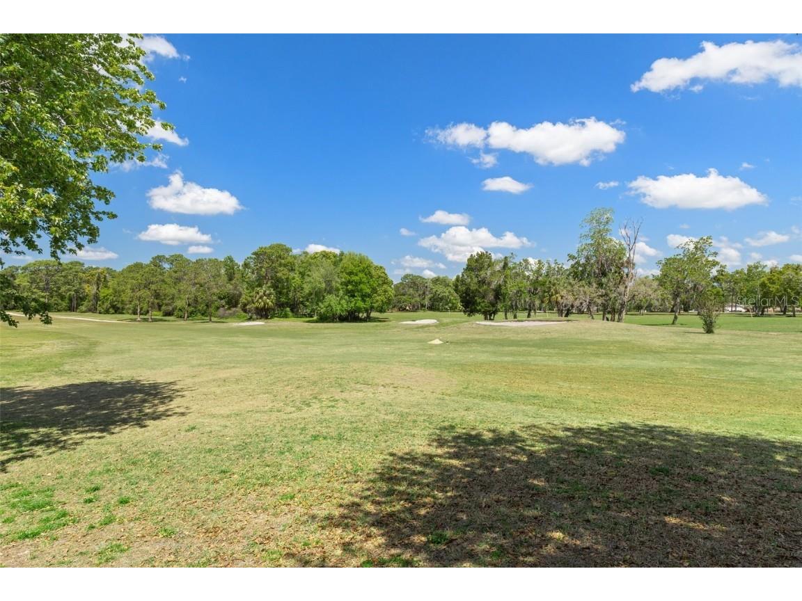 3 Cypress Run #34A Homosassa FL 34446 OM698643 image46