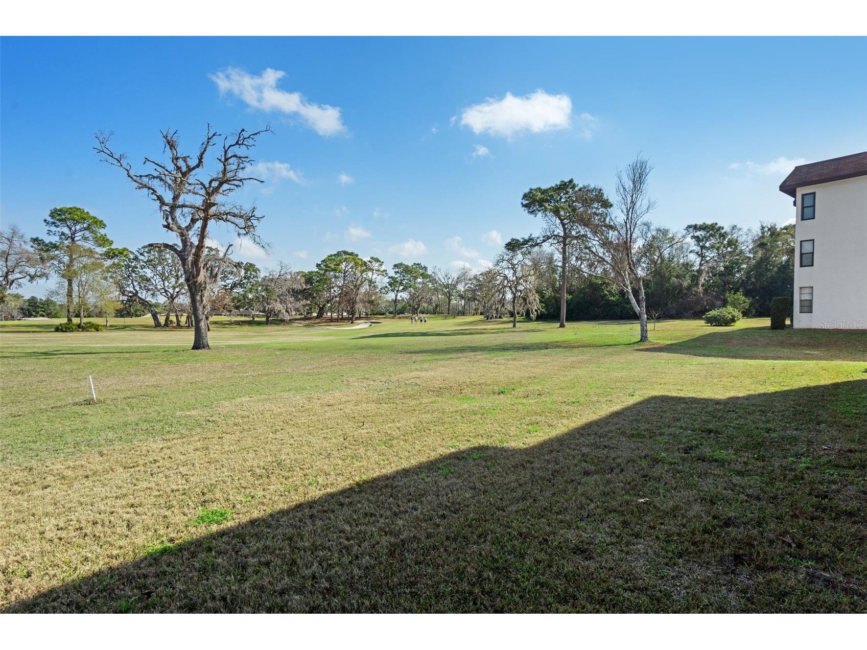 3 Cypress Run #35A Homosassa FL 34446 OM695177 image40