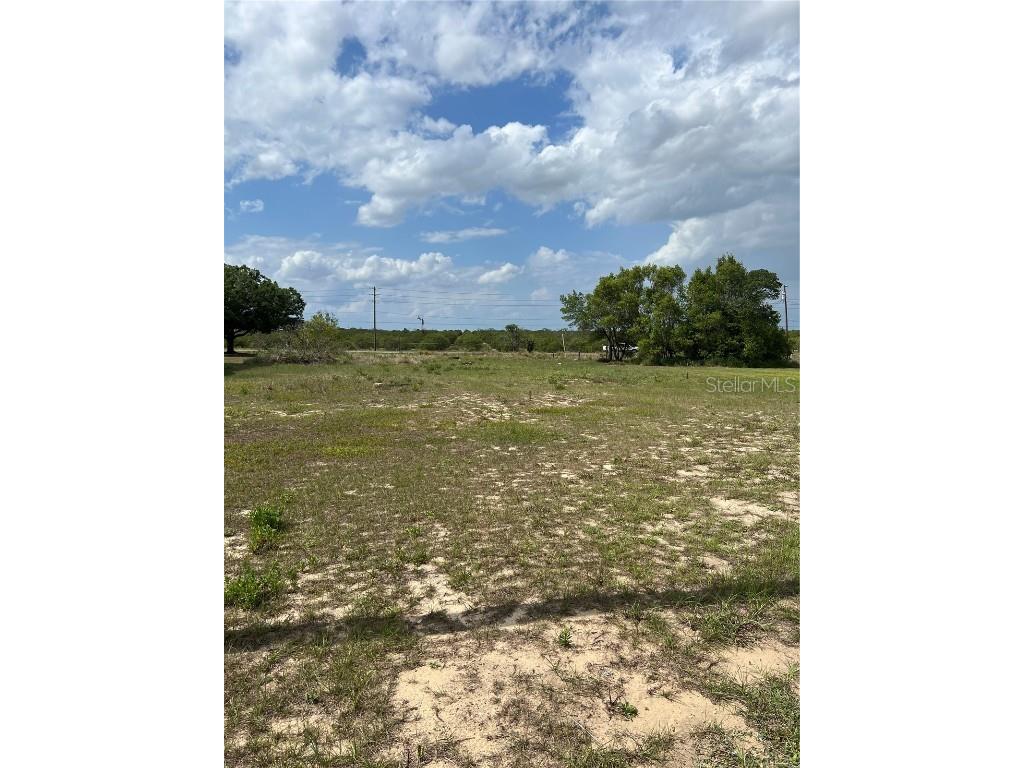 3 E Viola Street Avon Park FL 33825 U8202115 image1