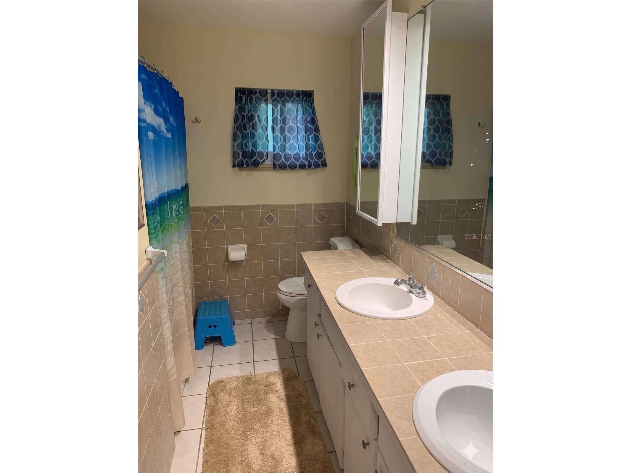 3 Elizabeth Drive E Palm Coast FL 32137 FC318569 image15