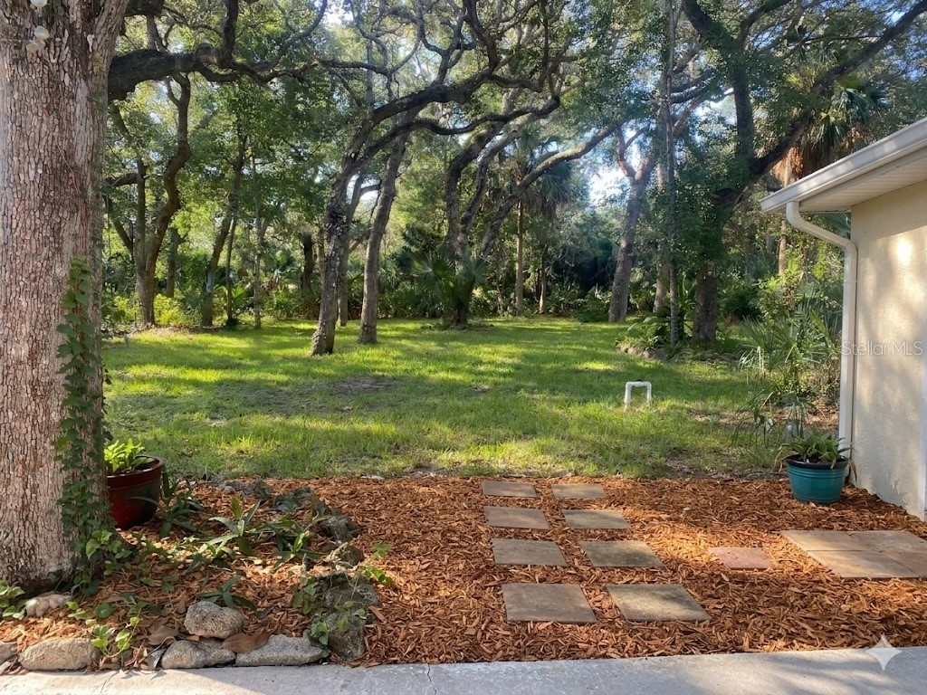 3 Elizabeth Drive E Palm Coast FL 32137 FC318569 image18