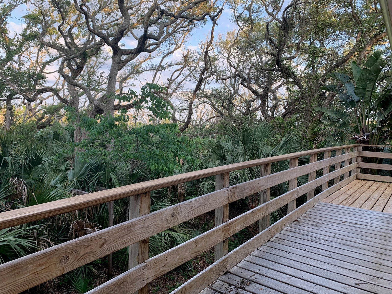 3 Elizabeth Drive E Palm Coast FL 32137 FC318569 image19