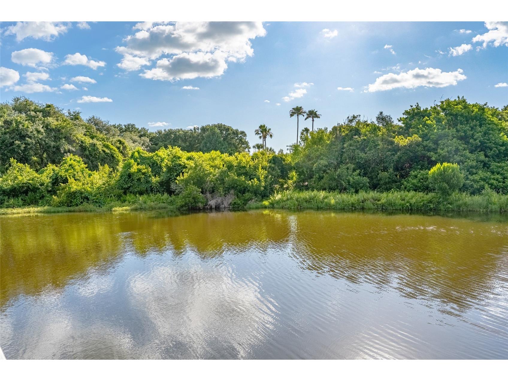 3 Flagship Court Palm Coast FL 32137 FC318933 image61