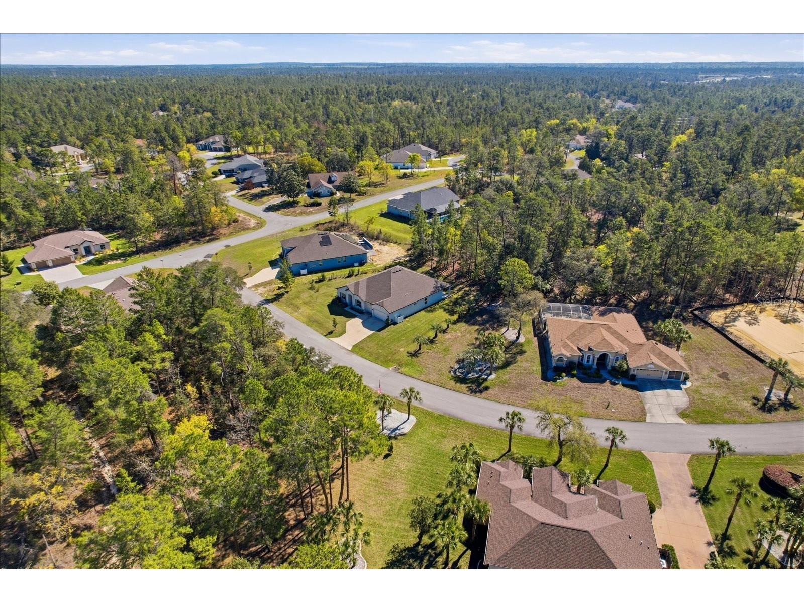 3 Floribunda Court Homosassa FL 34446 OM721013 image53