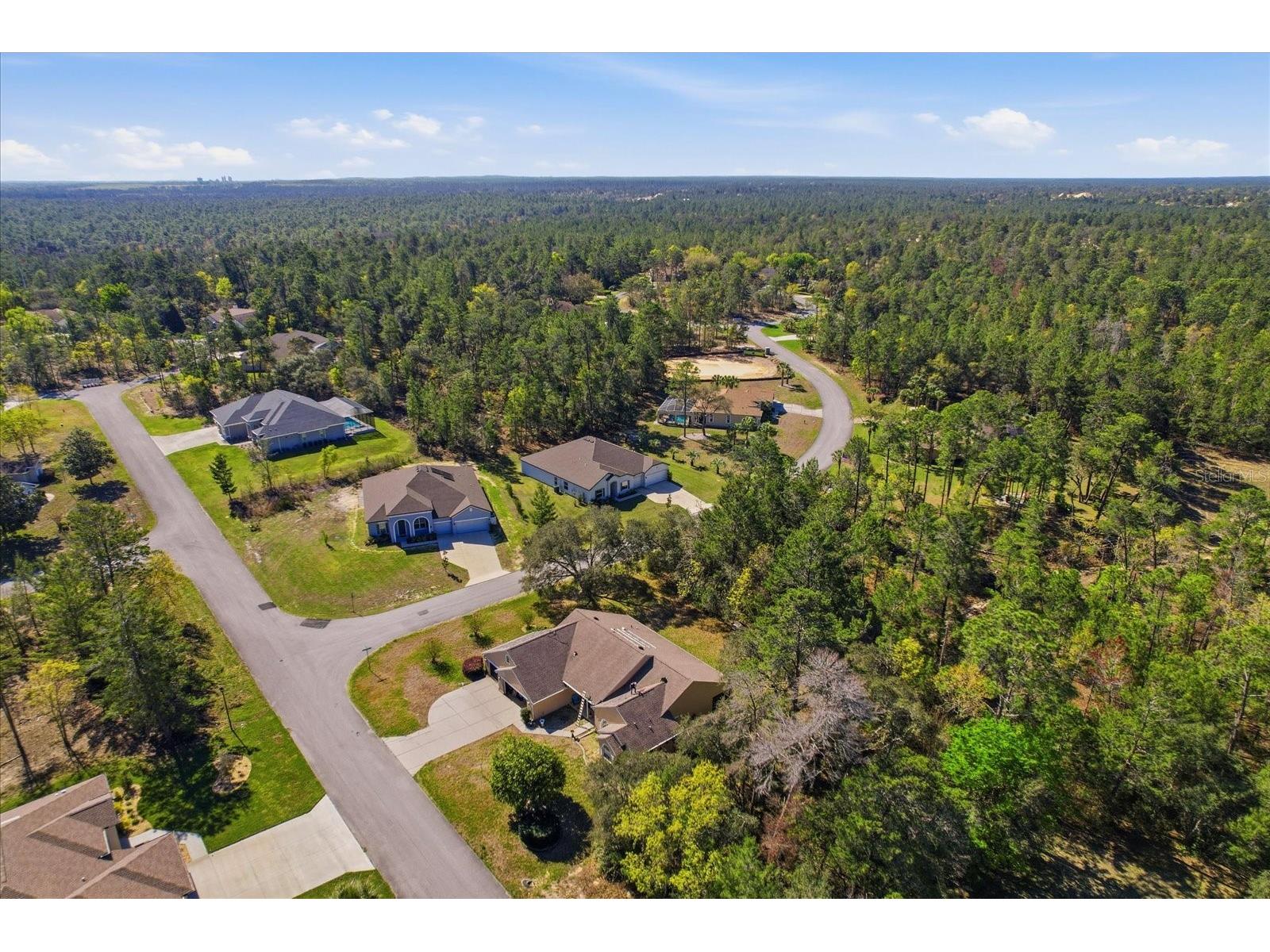 3 Floribunda Court Homosassa FL 34446 OM721013 image54