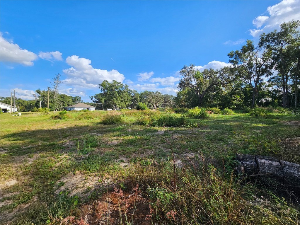 3 Frazee Court Dade City FL 33523 TB8445491 image11