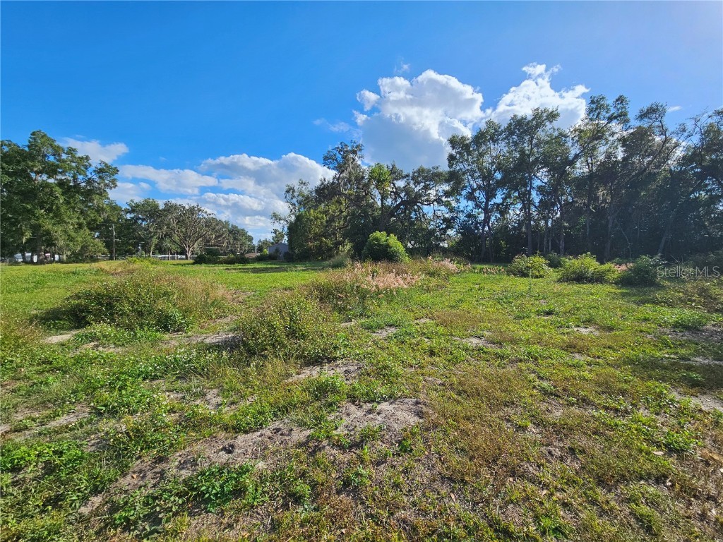 3 Frazee Court Dade City FL 33523 TB8445491 image12