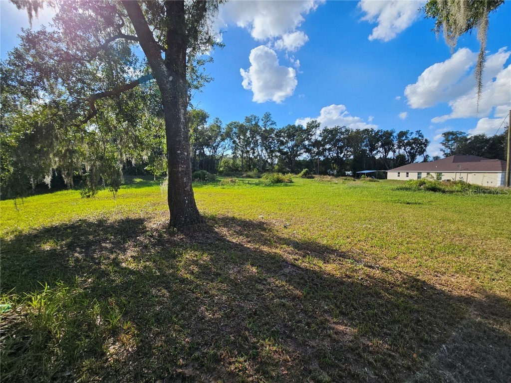 3 Frazee Court Dade City FL 33523 TB8445491 image5