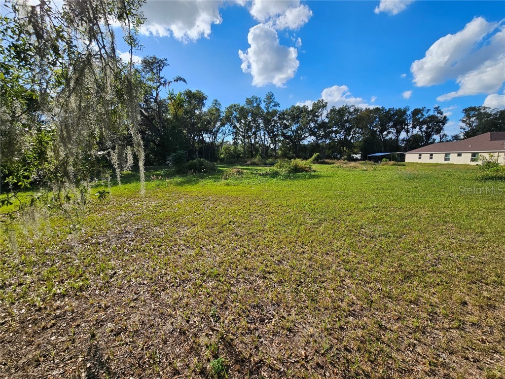 3 Frazee Court Dade City FL 33523 TB8445491 image6