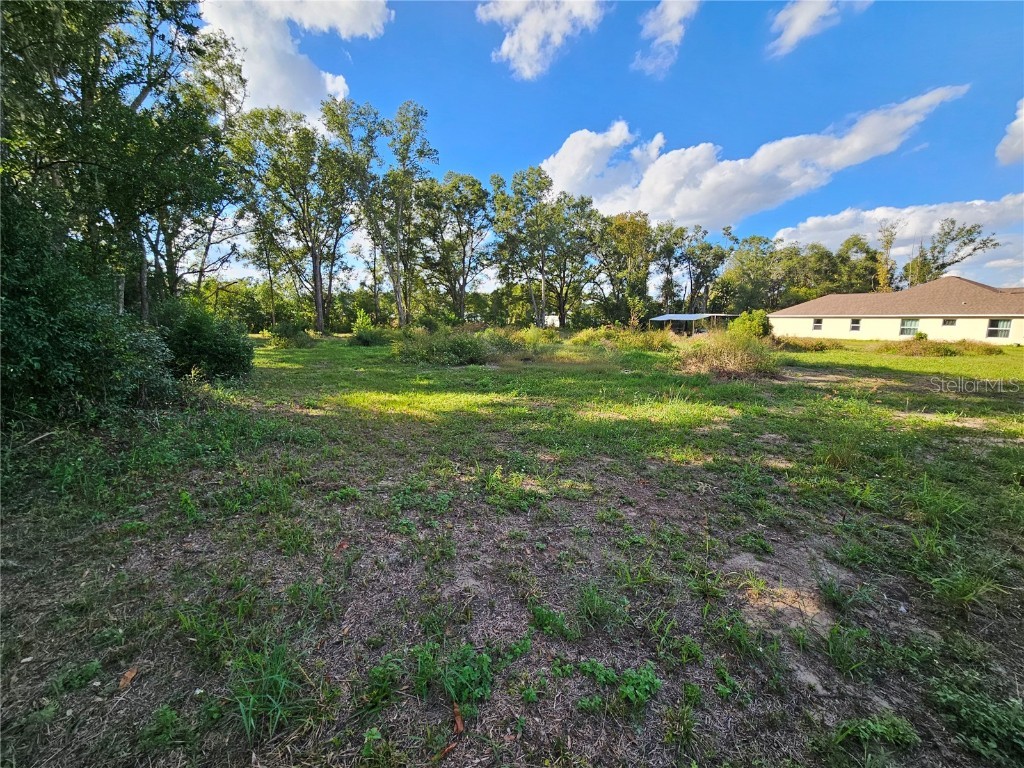 3 Frazee Court Dade City FL 33523 TB8445491 image8