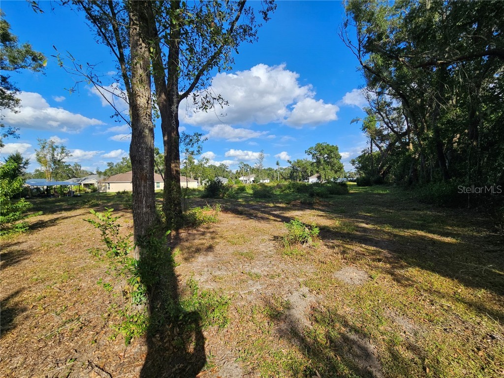 3 Frazee Court Dade City FL 33523 TB8445491 image9