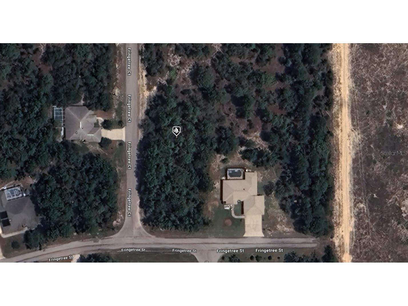 3 Fringetree Court Homosassa FL 34446 A4642340 image1