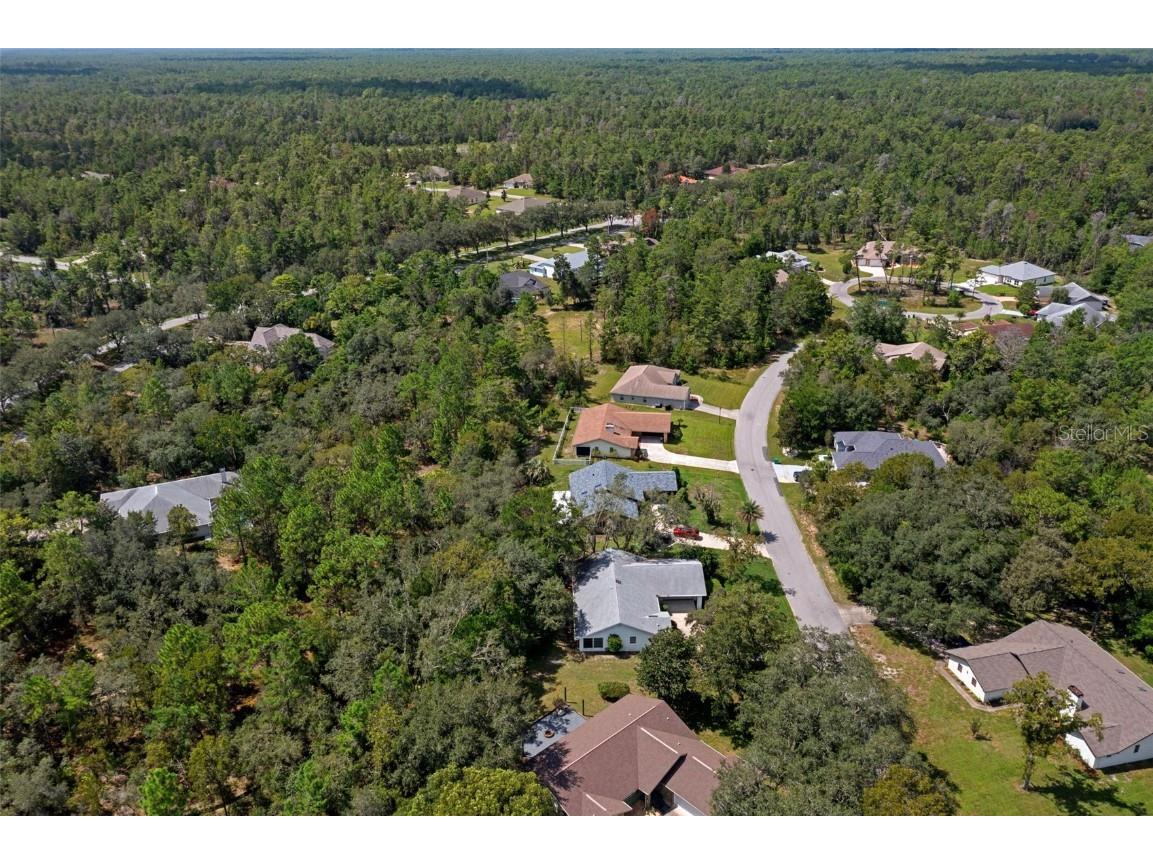 3 Gerbera Court Homosassa FL 34446 OM709980 image25