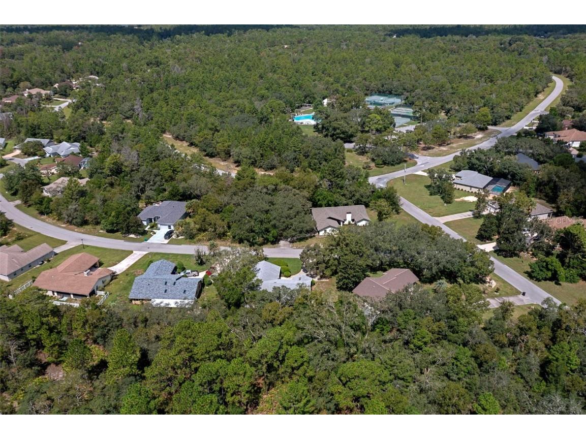 3 Gerbera Court Homosassa FL 34446 OM709980 image26