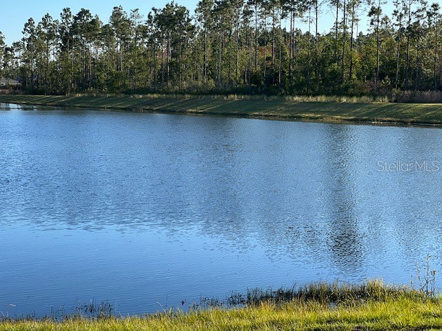 3 Golden Oak Way Palm Coast FL 32137 FC313620 image21