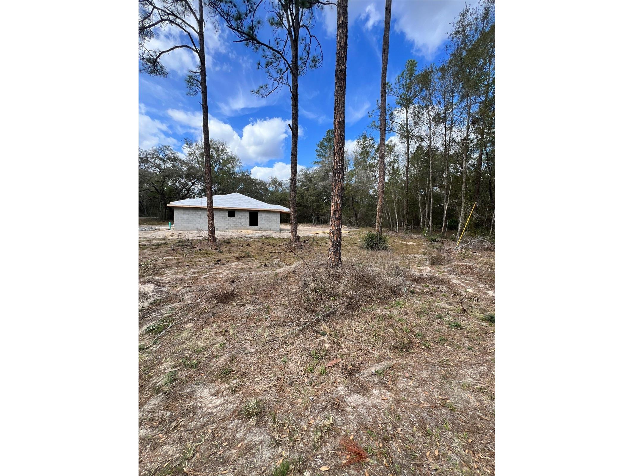 3 Guava Pass Run Ocklawaha FL 32179 OM719149 image21