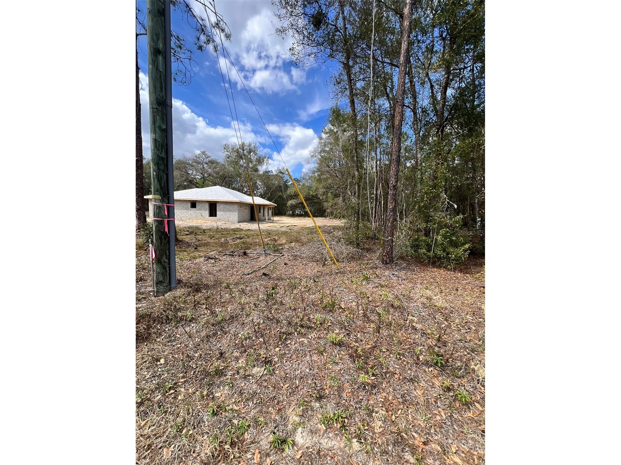 3 Guava Pass Run Ocklawaha FL 32179 OM719149 image22