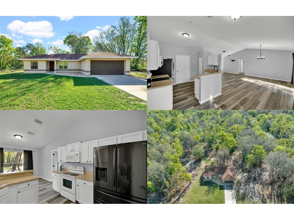 3 Guava Pass Track Ocklawaha FL 32179 OM675291 image1