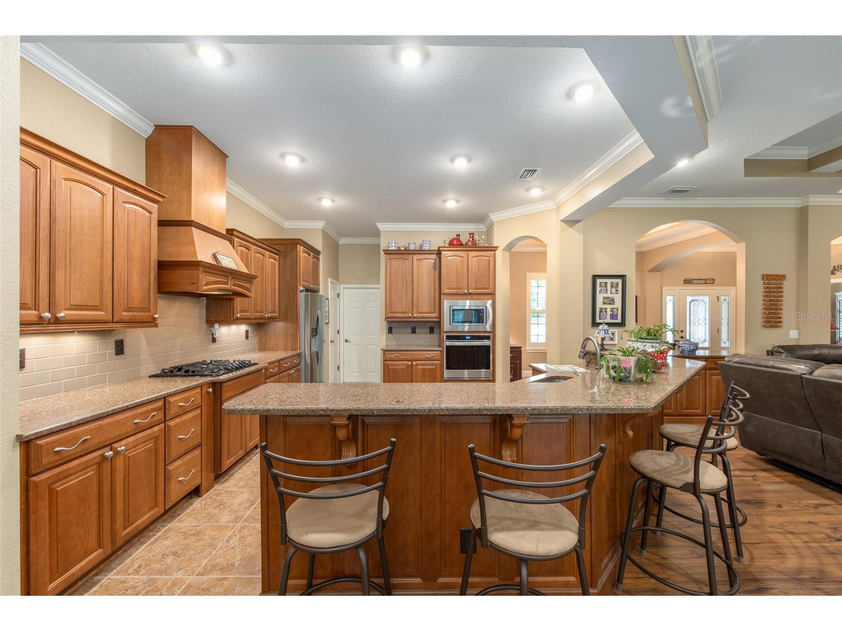 3 Hialeah Drive Ocala FL 34482 OM725793 image23