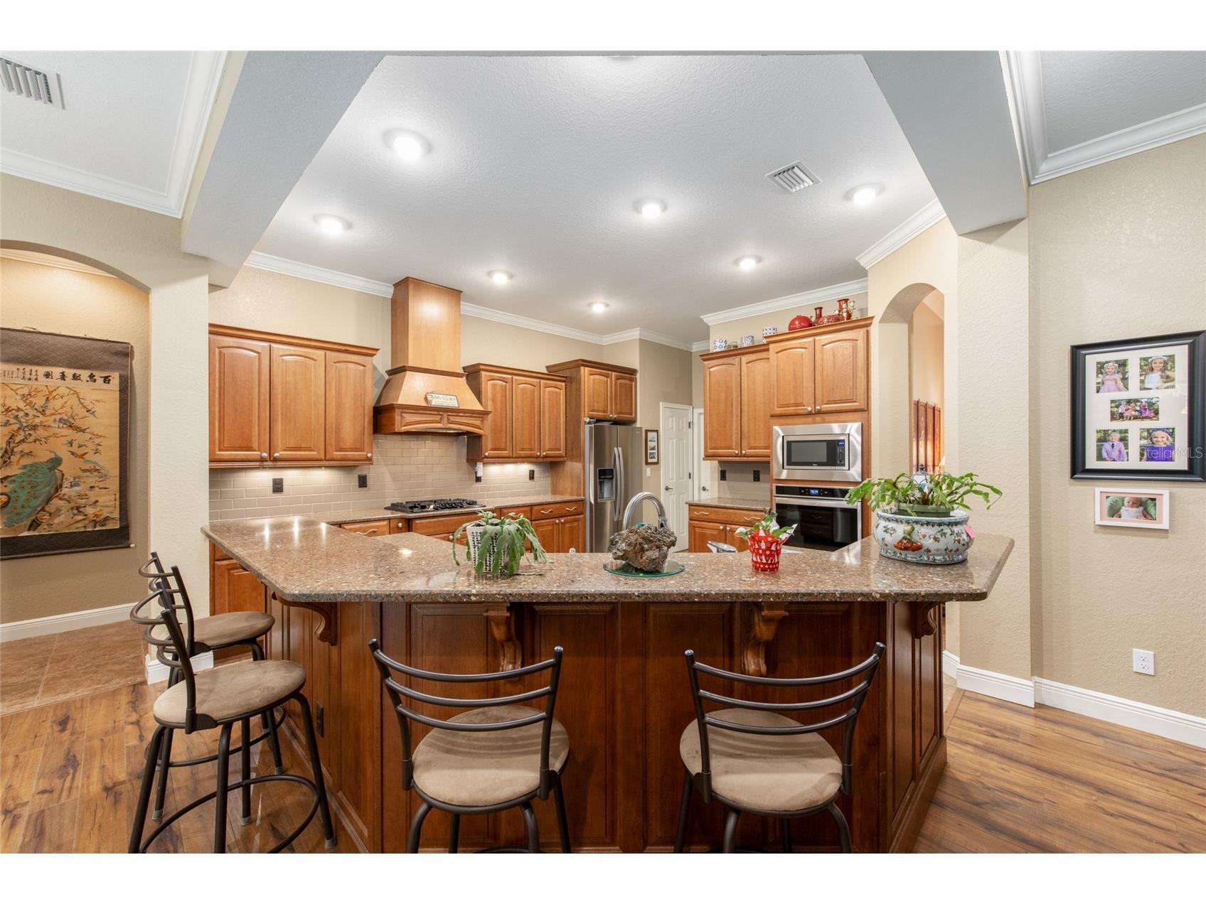 3 Hialeah Drive Ocala FL 34482 OM725793 image24