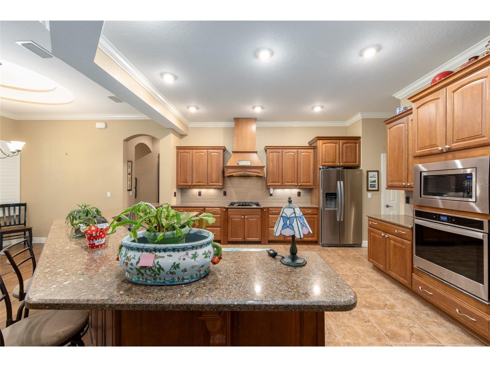 3 Hialeah Drive Ocala FL 34482 OM725793 image25