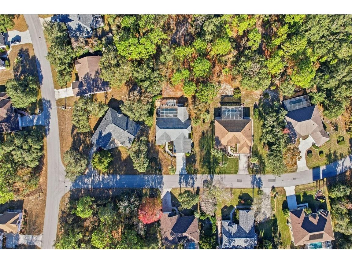 3 Ipomoea Court Homosassa FL 34446 W7881500 image43