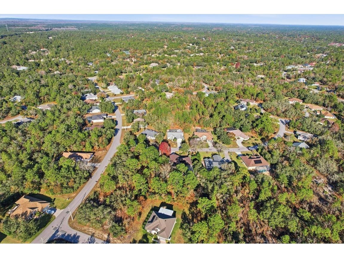 3 Ipomoea Court Homosassa FL 34446 W7881500 image44