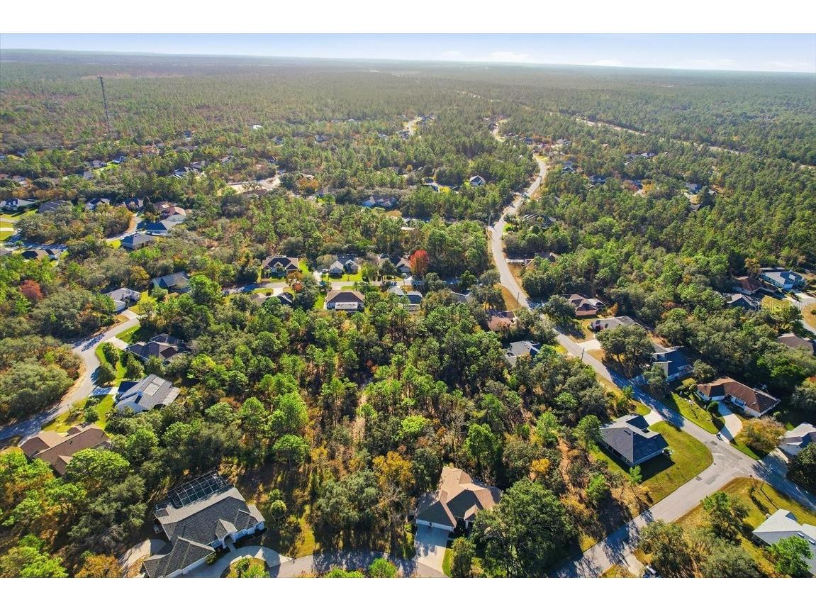 3 Ipomoea Court Homosassa FL 34446 W7881500 image45