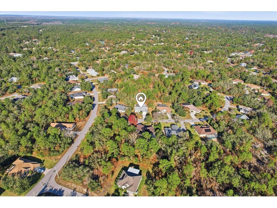 3 Ipomoea Court Homosassa FL 34446 W7881500 image46