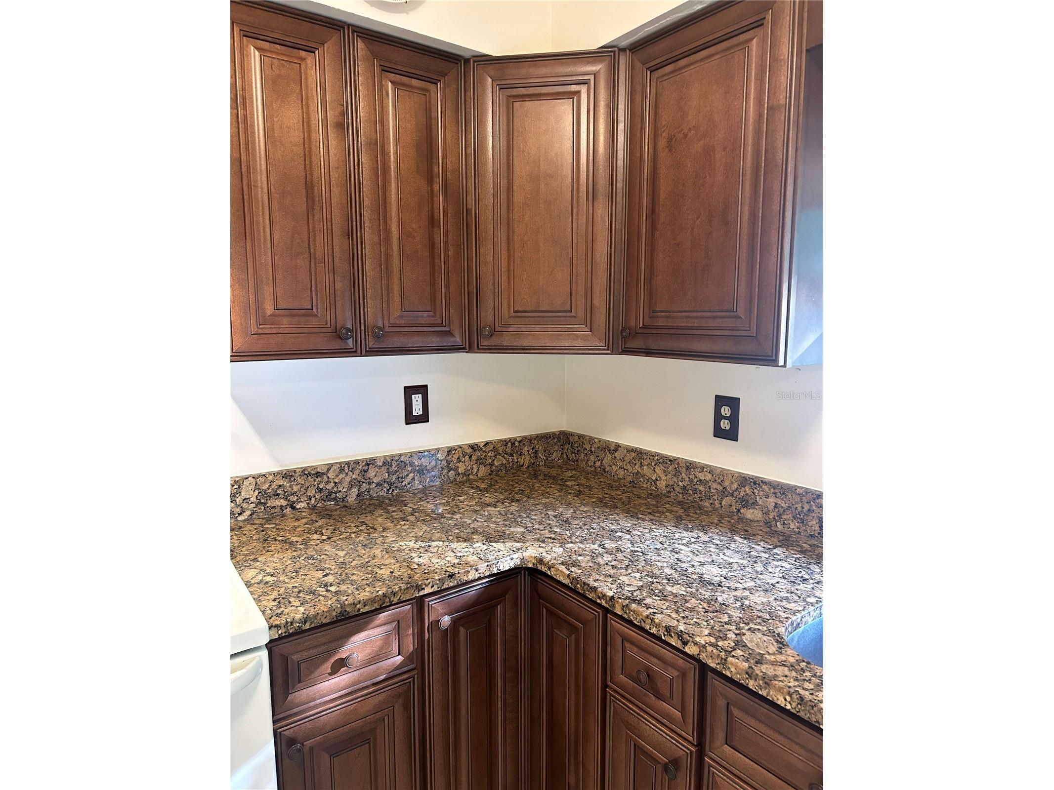 3 Juniper Pass Lane Ocala FL 34480 OM723659 image24