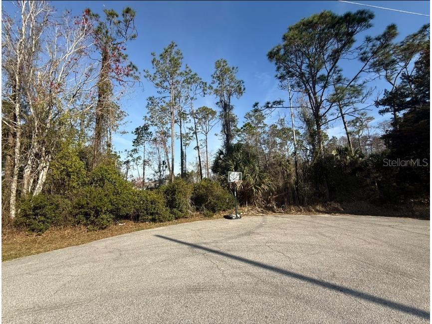 3 Kalmar Place Palm Coast FL 32164 FC316392 image2