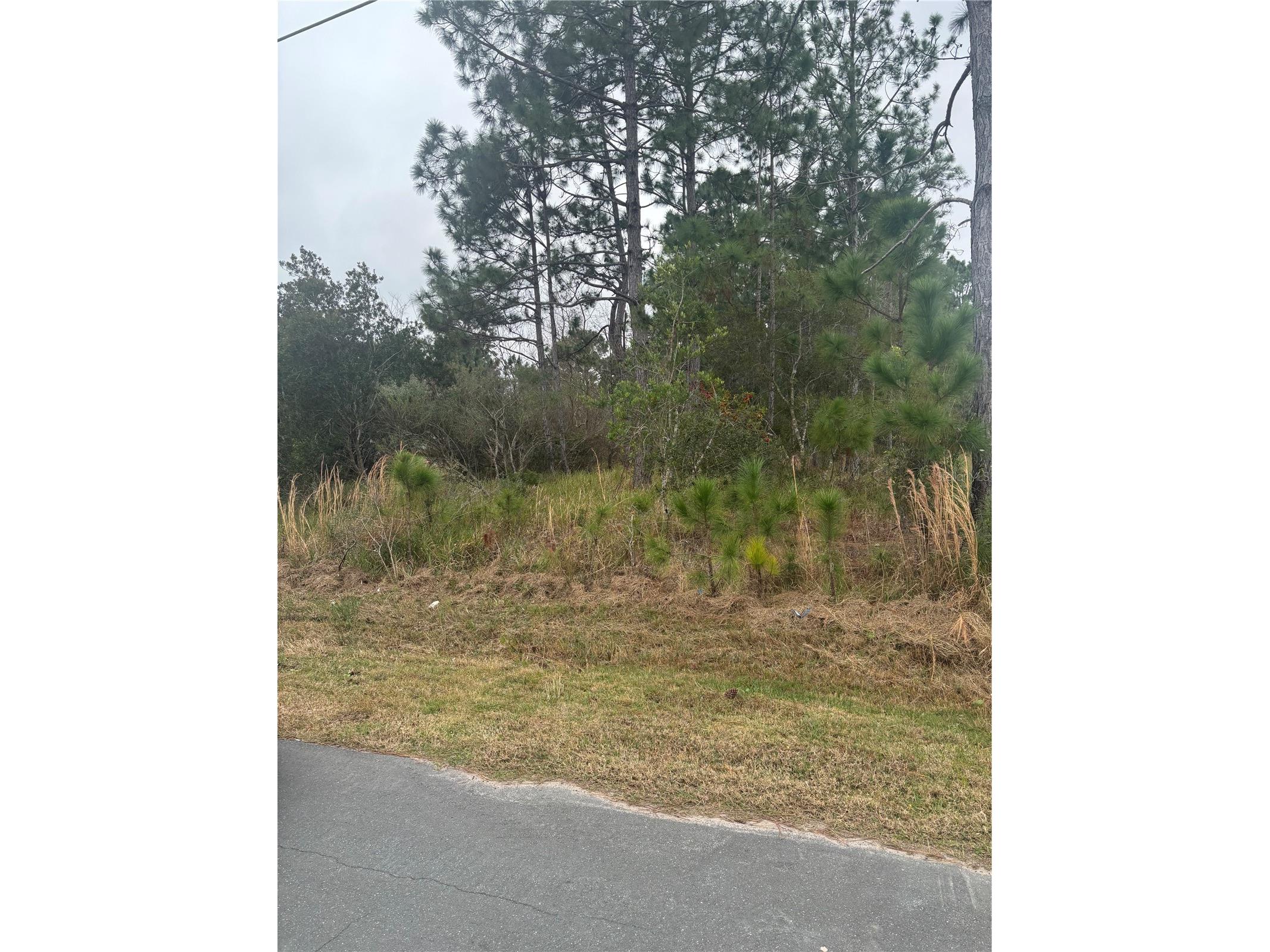 3 Lansing Lane Palm Coast FL 32137 FC315309 image1