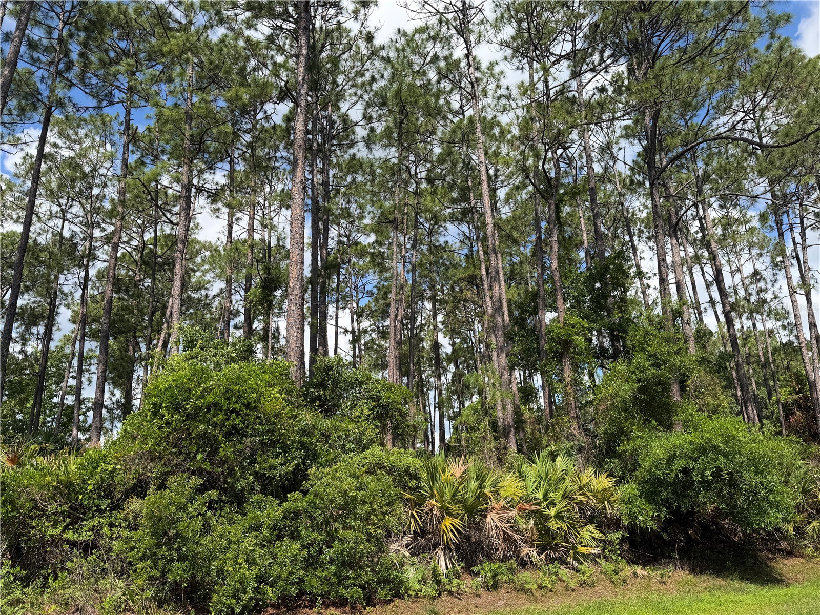 3 Largo Place Palm Coast FL 32137 FC318322 image1
