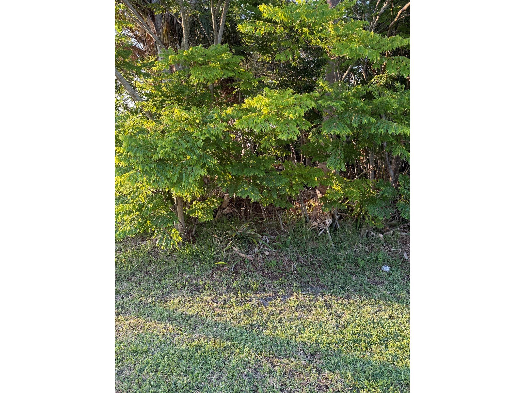 3 Largo Place Palm Coast FL 32137 FC318322 image1