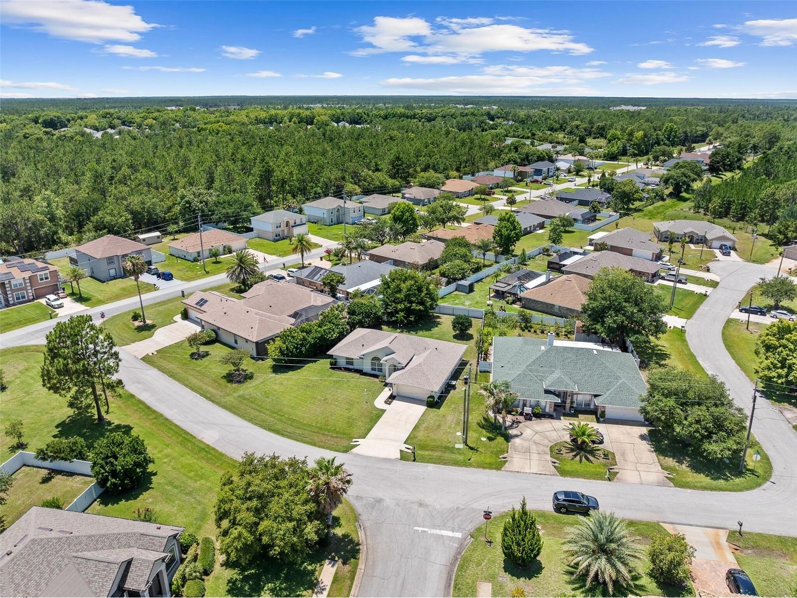 3 Lewis Drive Palm Coast FL 32137 O6417497 image29