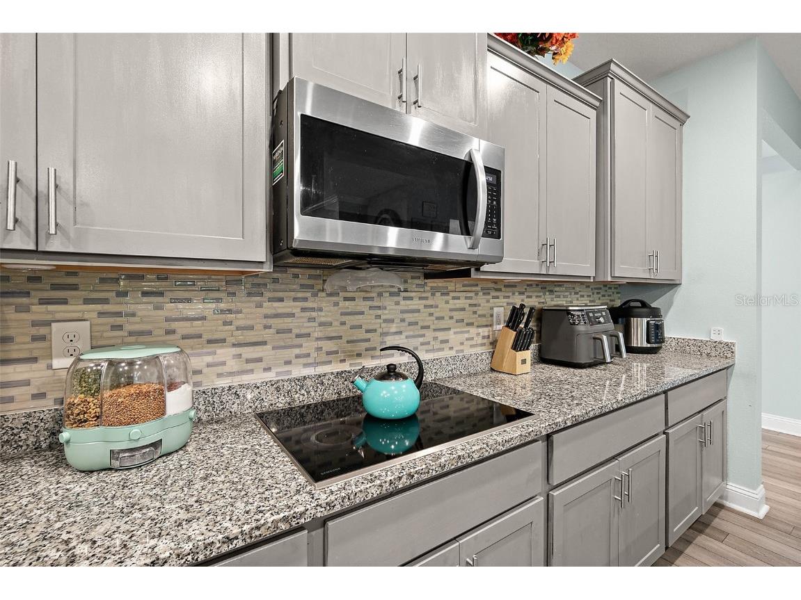 3 Llacer Place Palm Coast FL 32164 FC313770 image29