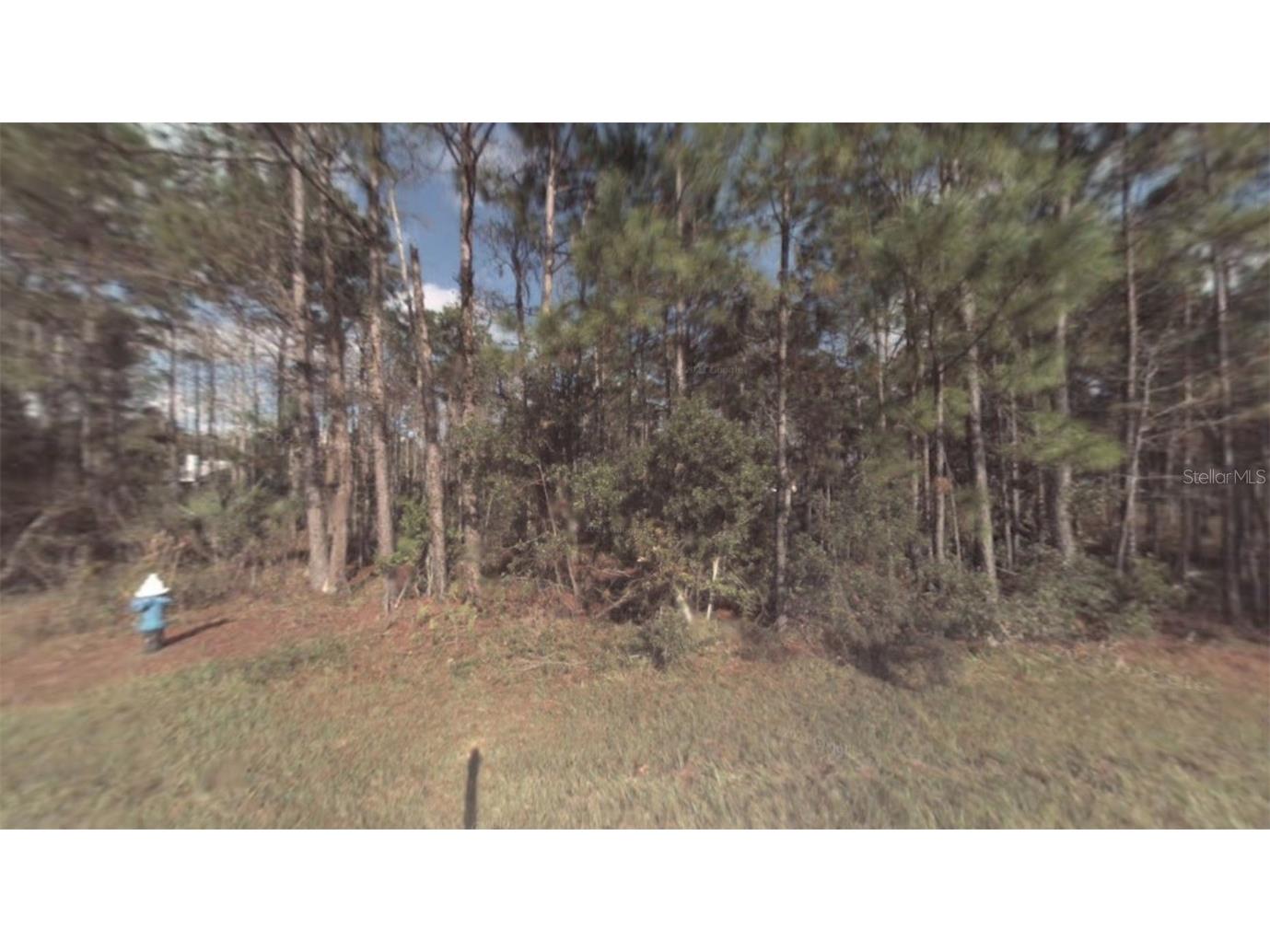 3 Llestone Path Palm Coast FL 32164 T3459624 image1