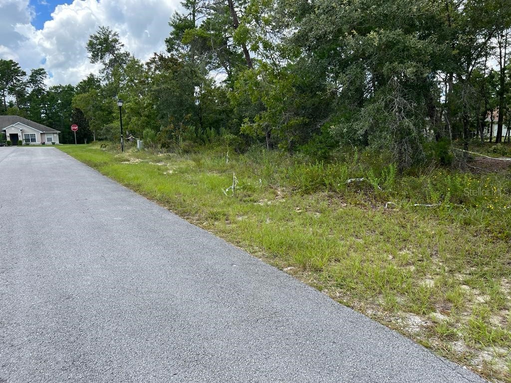 3 Lupine Street Homosassa FL 34446 S5100694 image1