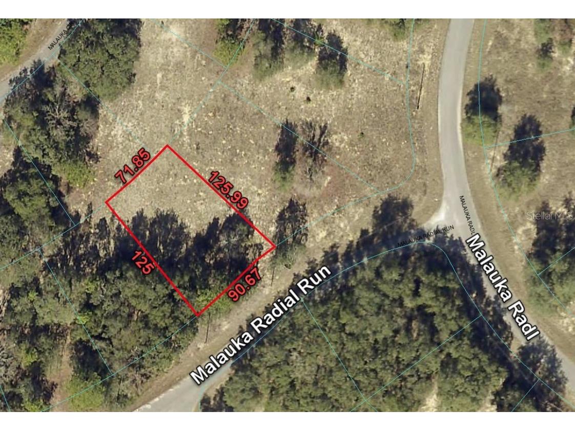 3 Malauka Radial Run Ocklawaha FL 32179 O6143791 image1