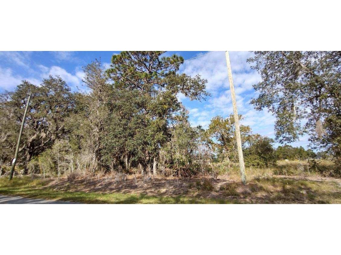 3 Malauka Radial Run Ocklawaha FL 32179 OM667387 image1