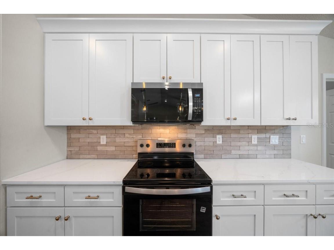 3 Malauka Radial Track Ocklawaha FL 32179 OM707454 image44