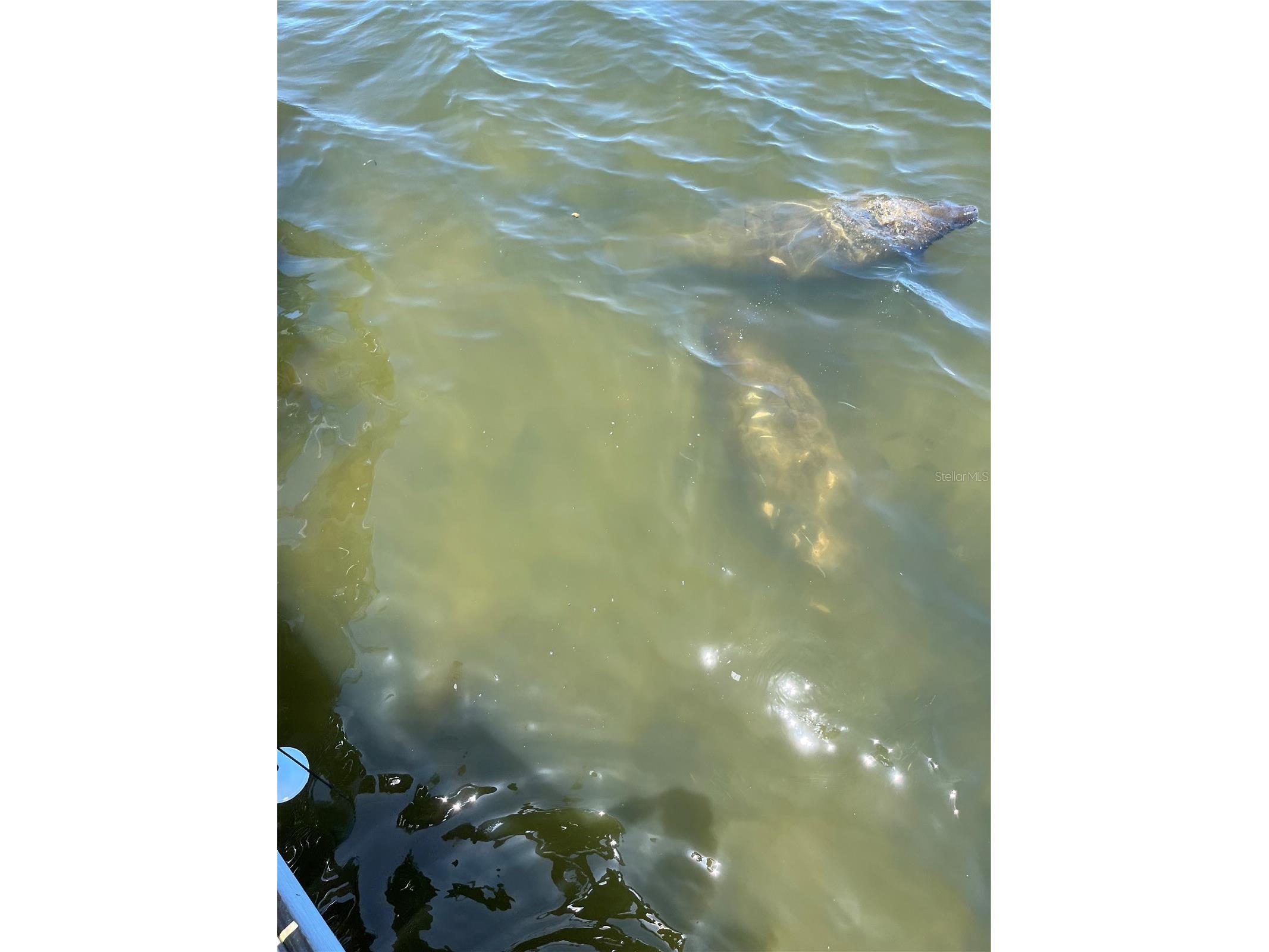 3 Michiana Place Terra Ceia FL 34250 - MIGUEL BAY TAMPA BAY GULF A4690122 image54