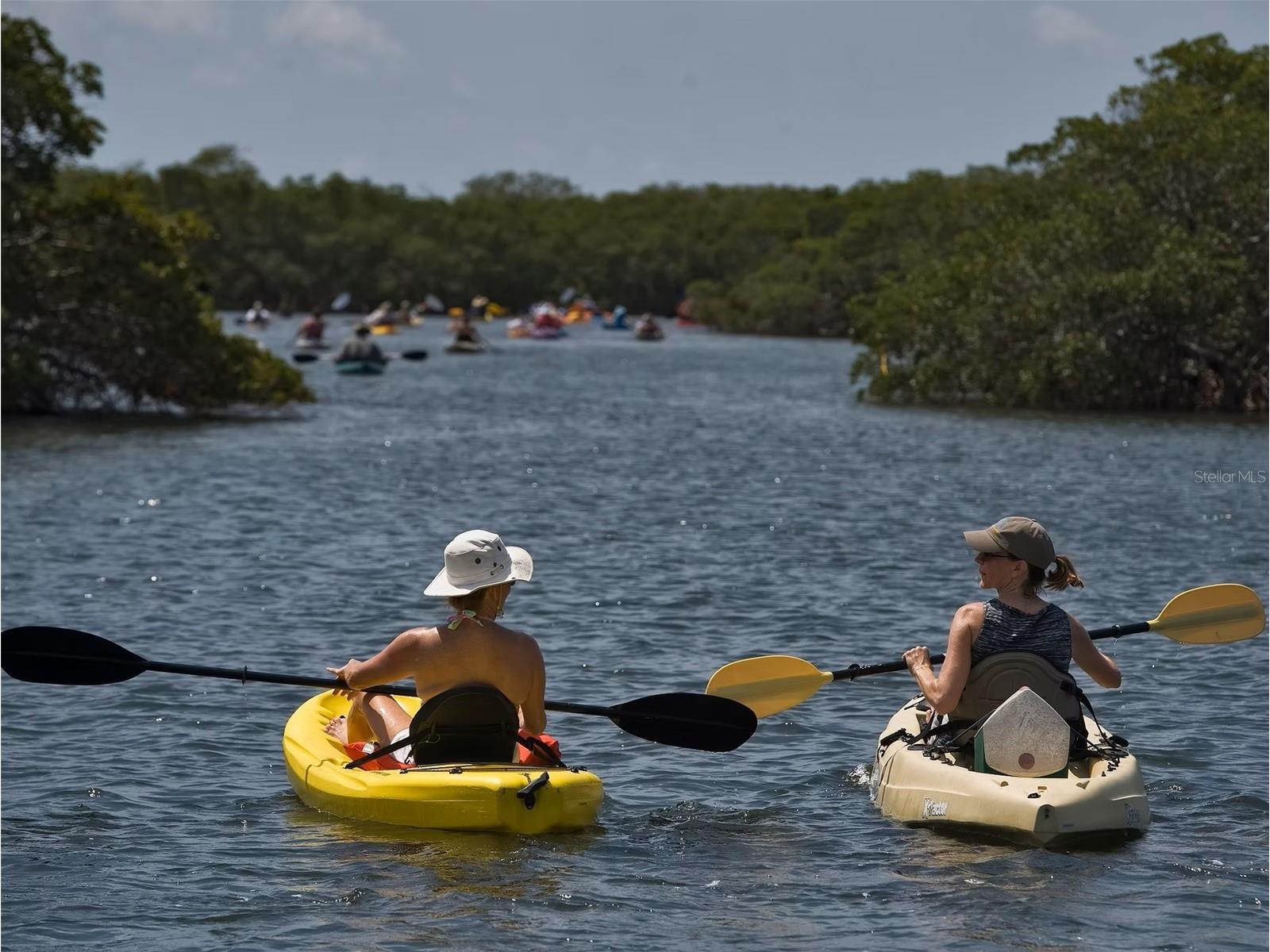 3 Michiana Place Terra Ceia FL 34250 - MIGUEL BAY TAMPA BAY GULF A4690122 image79