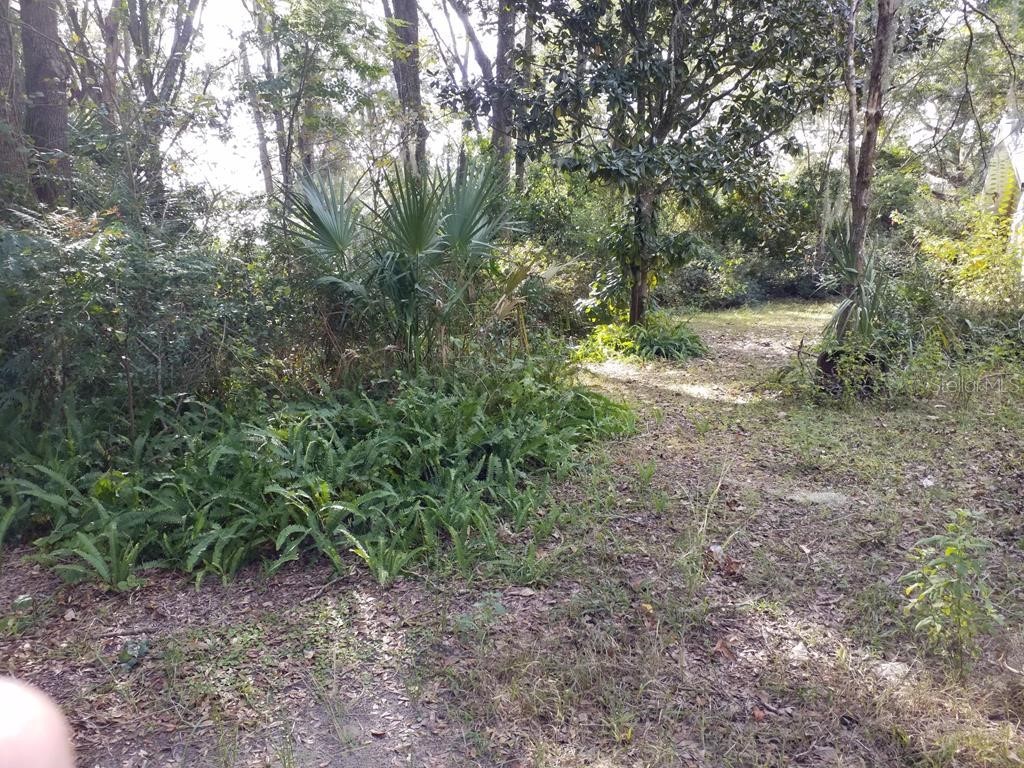 3 NE 5 Street Chiefland FL 32626 GC535560 image1
