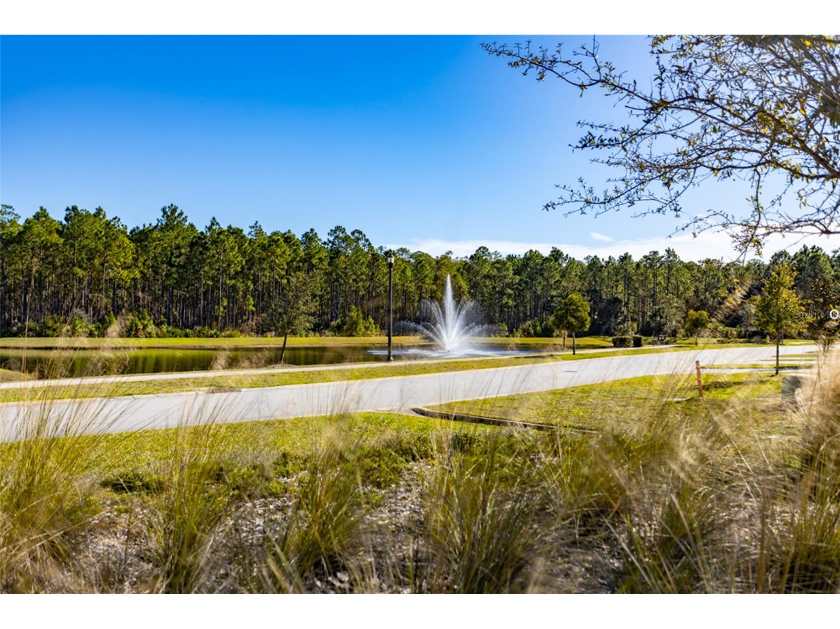3 Newhaven Lane Ormond Beach FL 32174 FC314707 image28