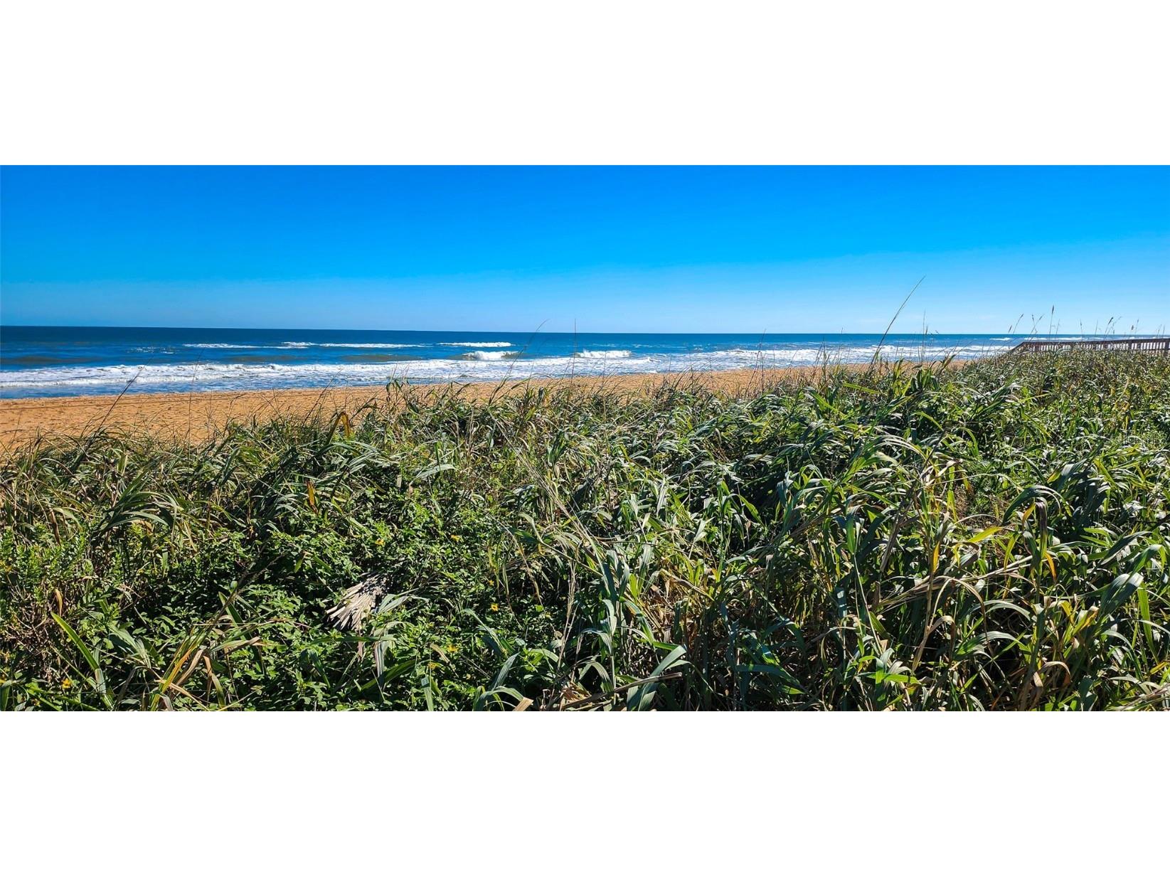 3 Ocean Dunes Drive Ormond Beach FL 32176 V4946607 image31