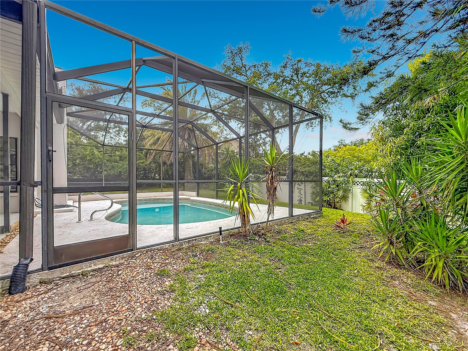 3 Octavia Way Safety Harbor FL 34695 TB8516095 image46