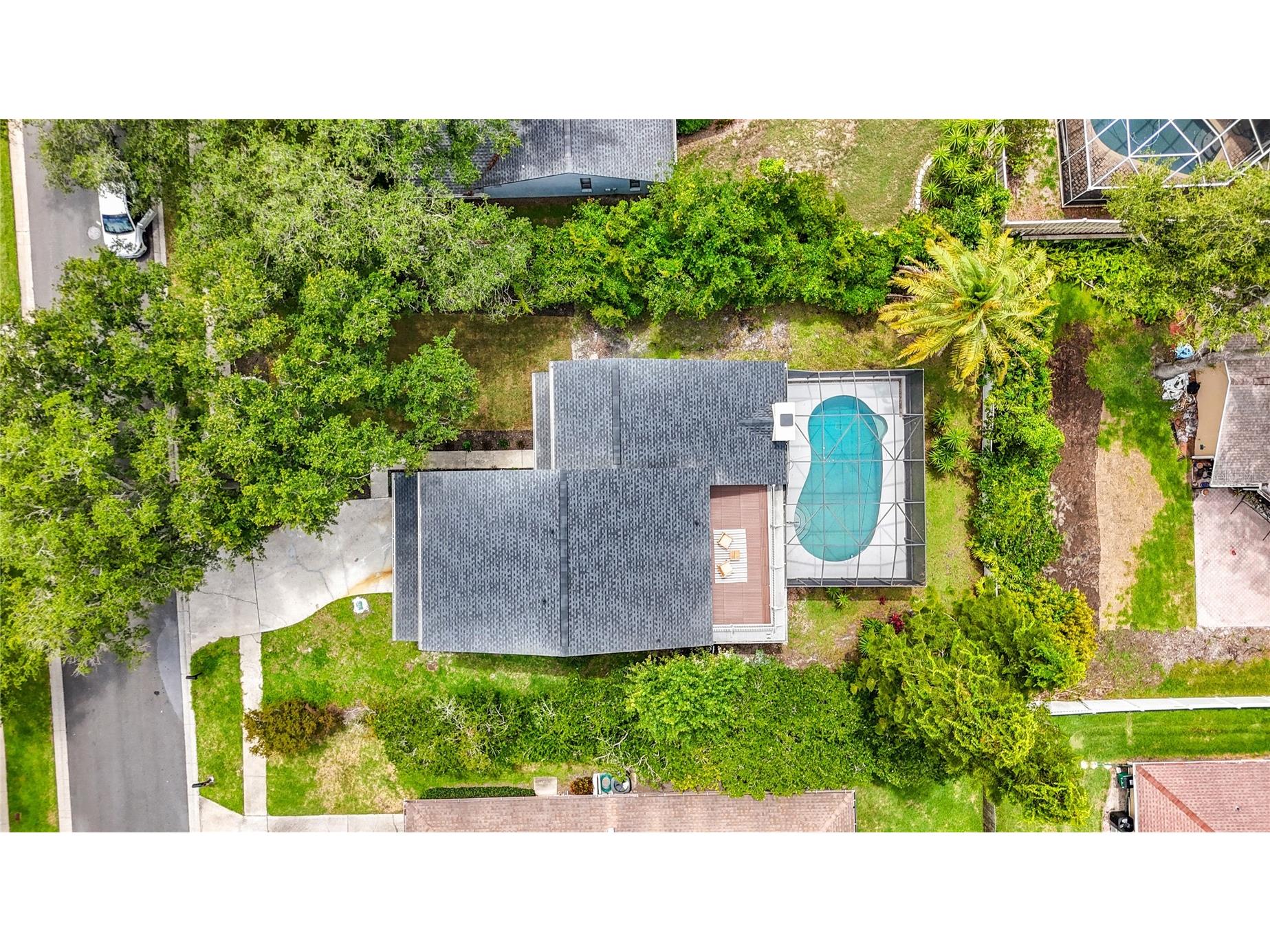 3 Octavia Way Safety Harbor FL 34695 TB8516095 image59