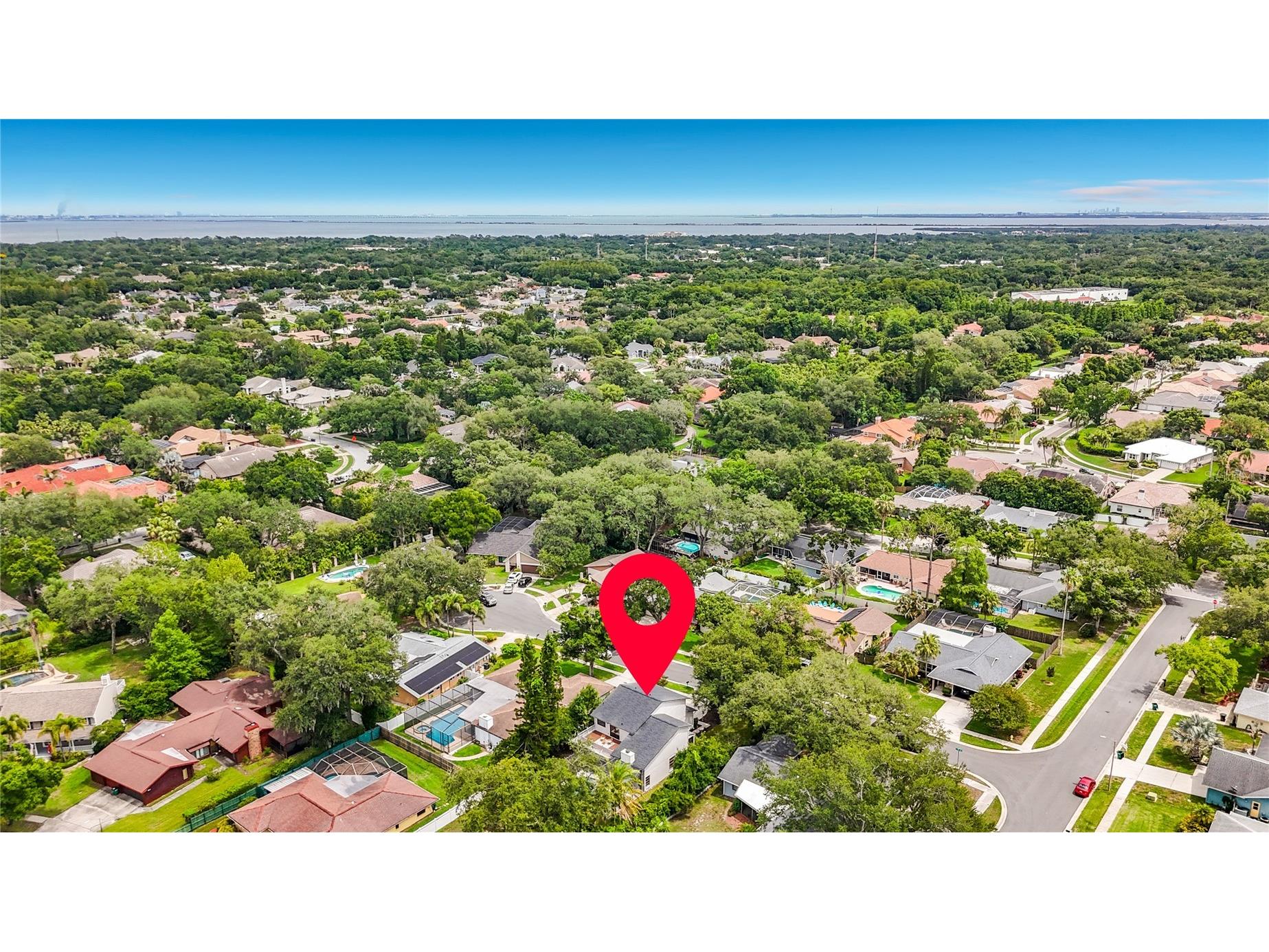 3 Octavia Way Safety Harbor FL 34695 TB8516095 image61